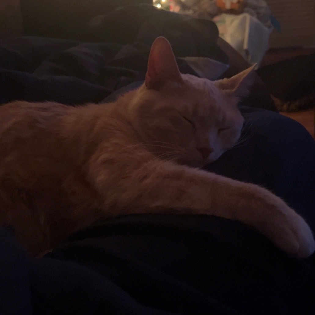 Pumpkin