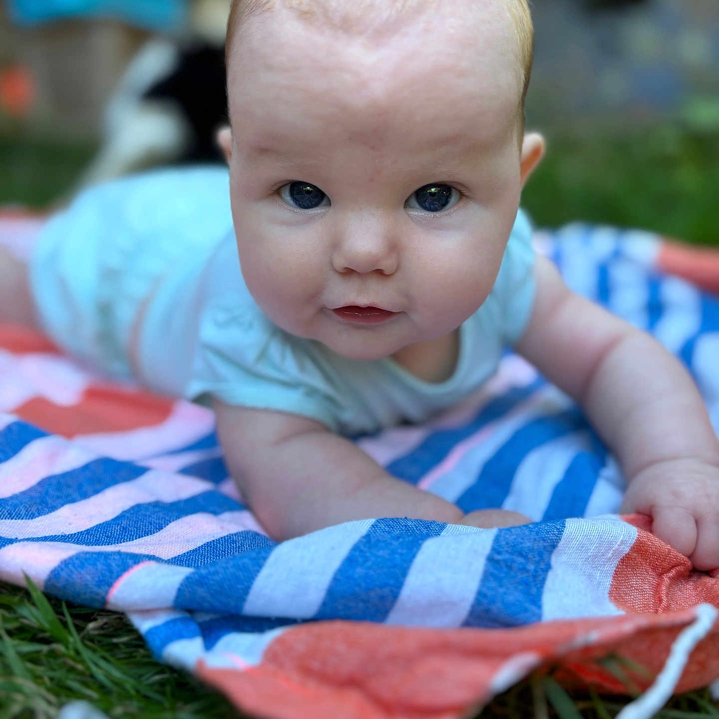 Anna-Lya a rejoint le concours — aidez-le/la à gagner de superbes lots ! baby, baby_skin, blanket, blue_clothing, child, closeup, cute, eyes, face, grass, hand, head, infant, lying_down, nature, outdoor, portrait, smile, summer, toddler