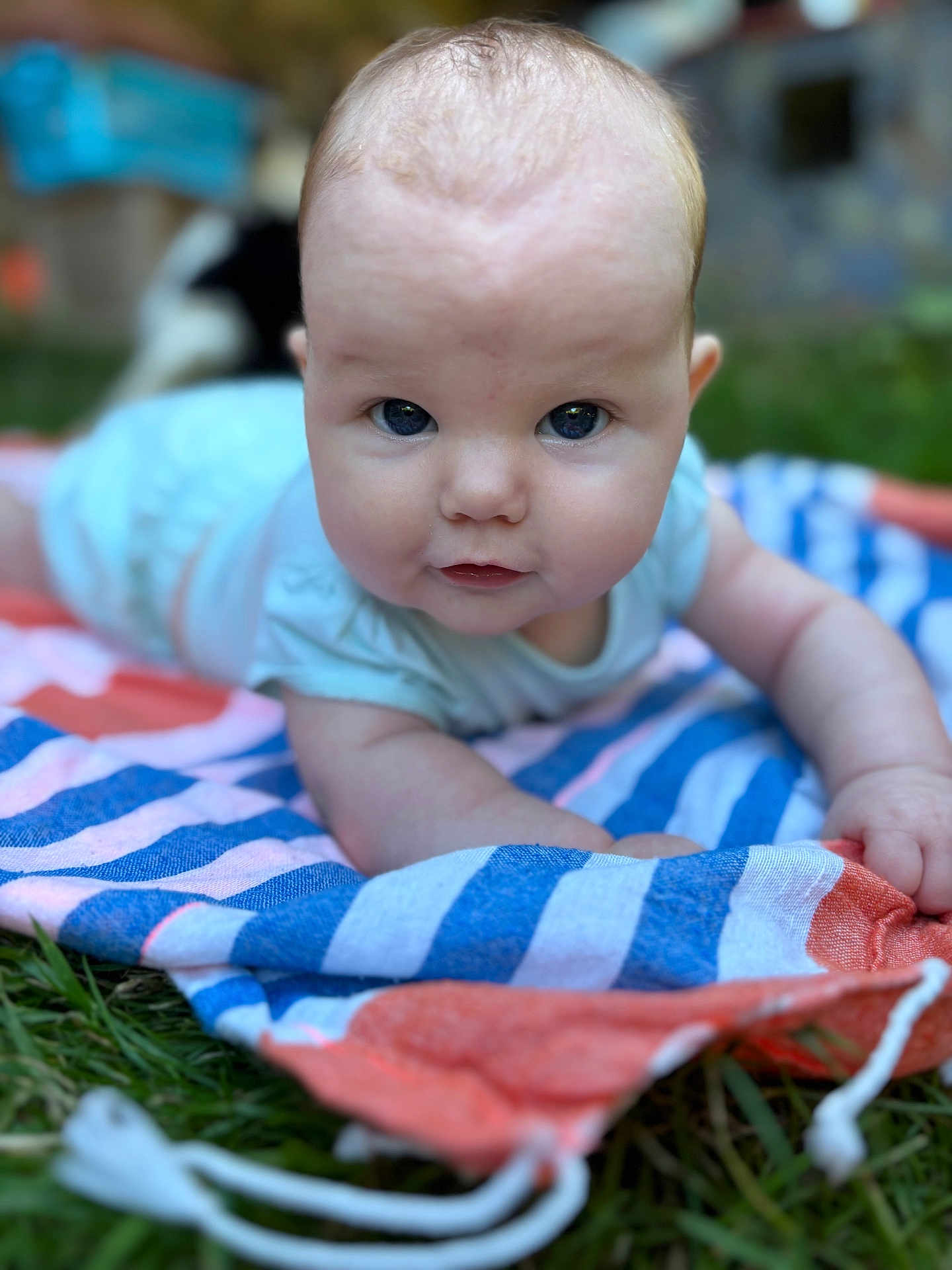 Anna-Lya a rejoint le concours — aidez-le/la à gagner de superbes lots ! baby, infant, child, outdoor, blanket, grass, face, portrait, blue_clothing, eyes, head, hand, cute, baby_skin, closeup, summer, nature, smile, lying_down, toddler