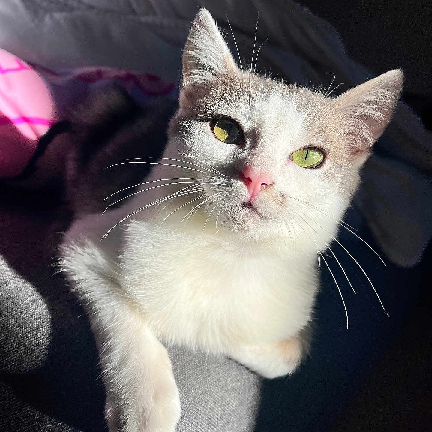 Alaska