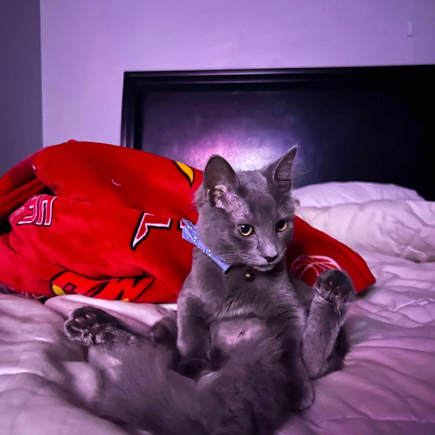 Floki