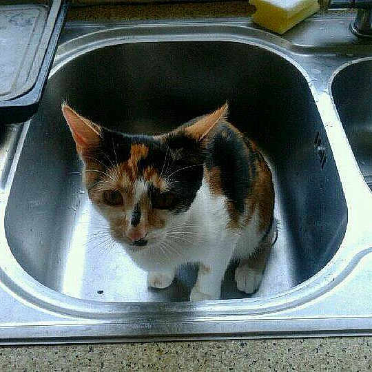 Prudence