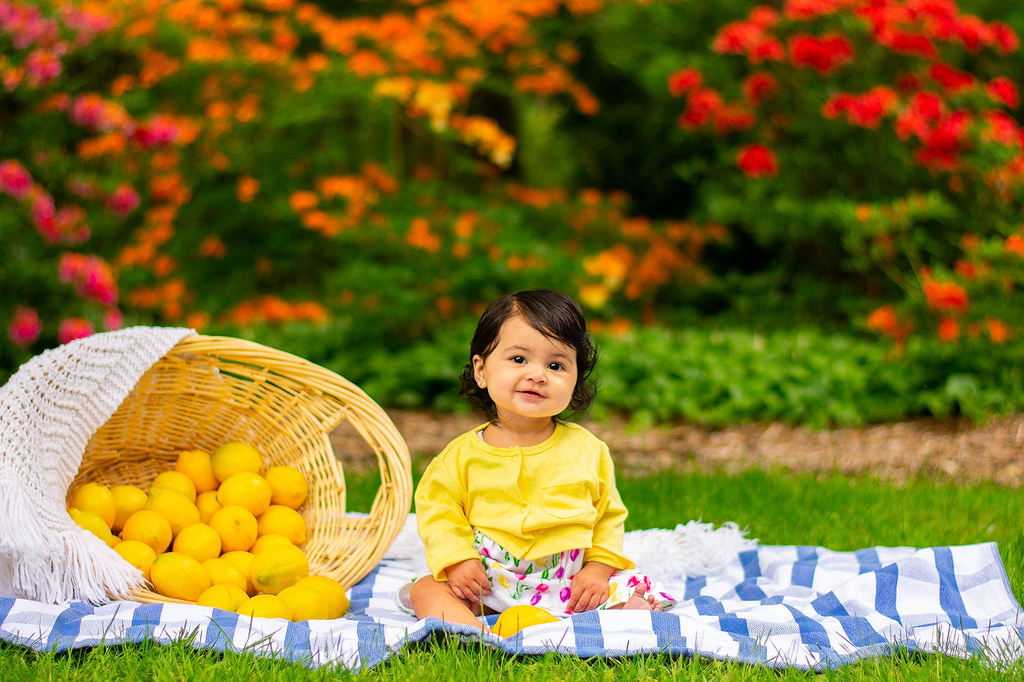 Khalani joined the competition — help win amazing prizes! basket, botany, facial_expression, flower, grass, green, happy, joy, leaf, leisure, morning, natural_landscape, nature, people_in_nature, person, picnic_basket, plant, playing_with_kids, smile, summer