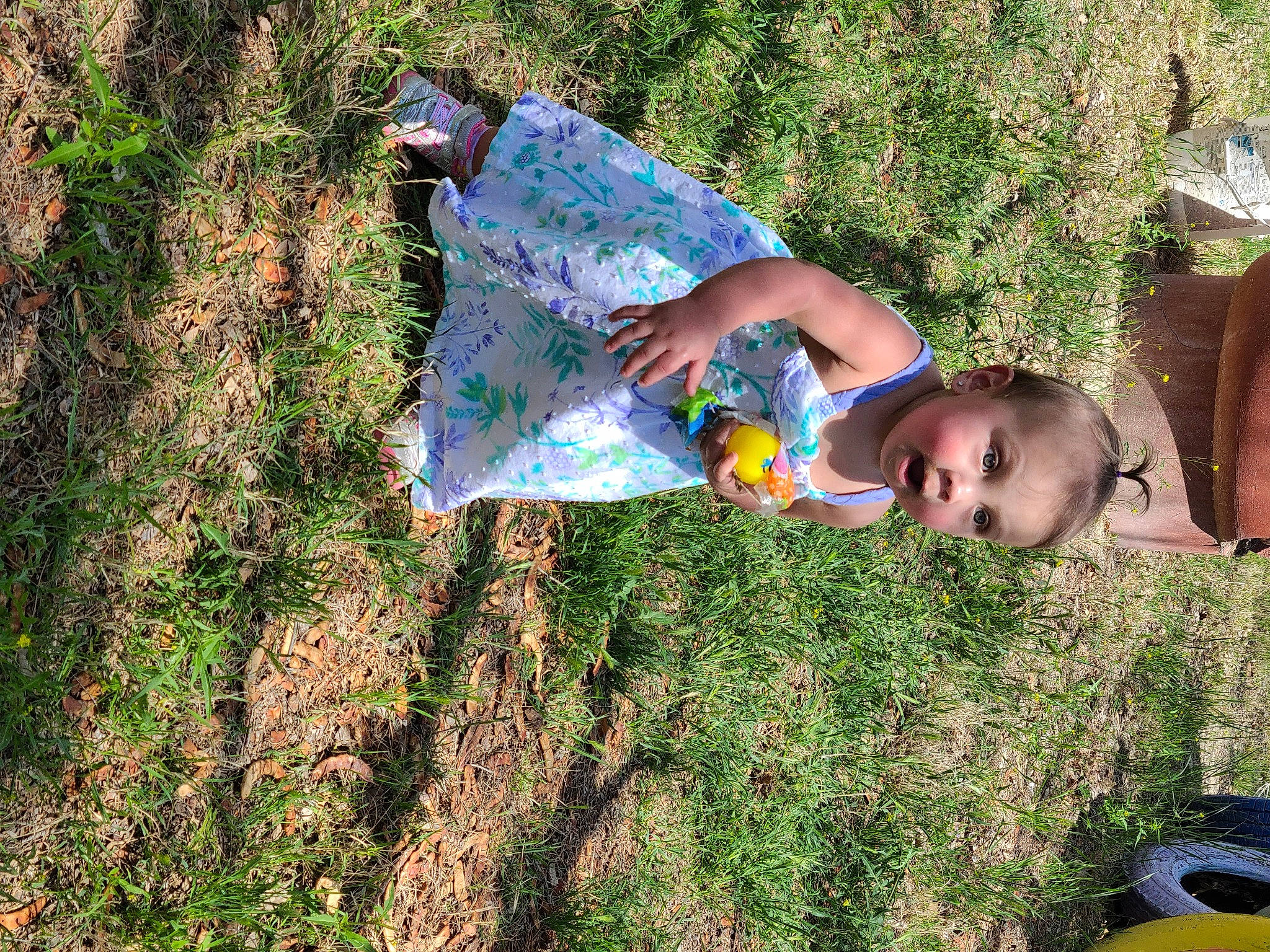 Marissa is registered to the contest to win money with this photo: adaptation, fun, grass, jungle, leisure, person, plant, plant_community, recreation, soil, surprise, tree