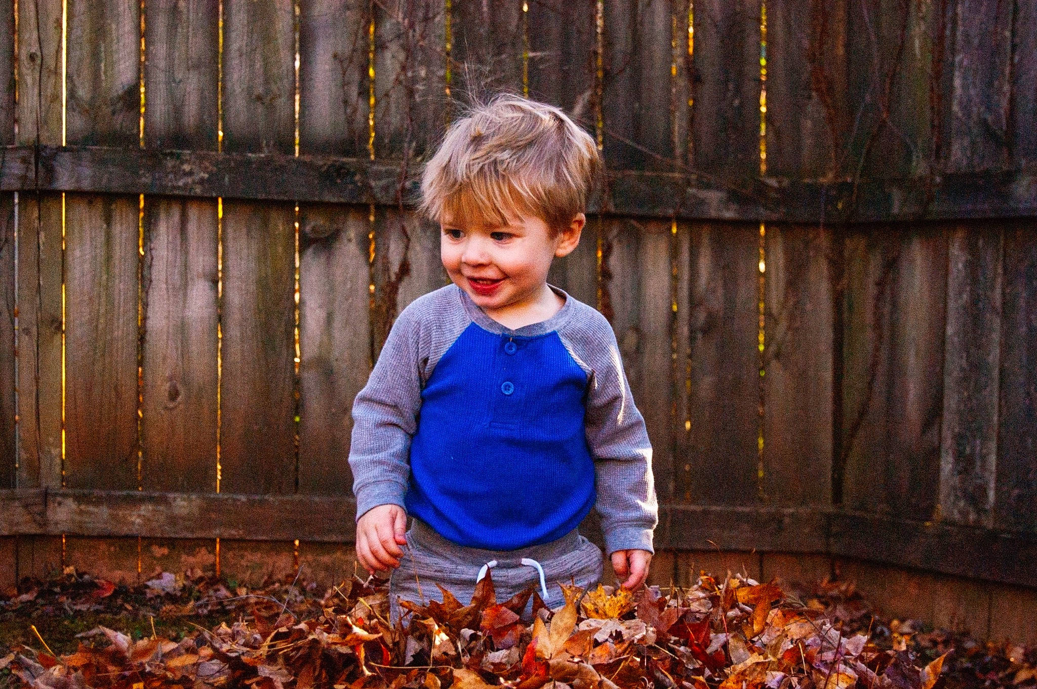 Maddux joined the competition — help win amazing prizes! child, deciduous, dress, electric_blue, eye, face, fence, flash_photography, fun, grass, happy, joy, leisure, nature, people_in_nature, person, plant, smile, soil, toddler