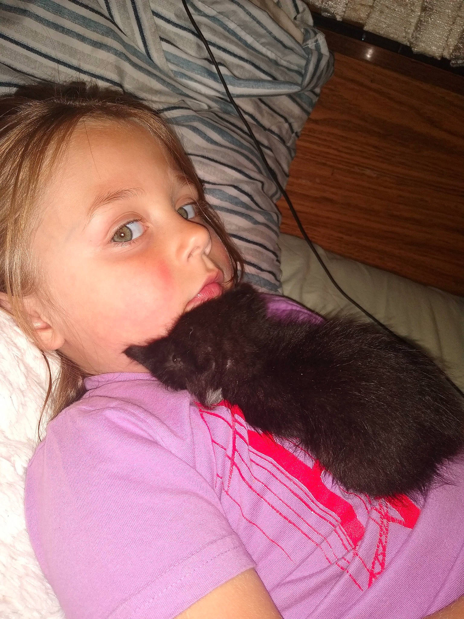 Mister is registered to the contest to win money with this photo: black_hair, carnivore, cat, comfort, companion_dog, dog_breed, ear, eye, eyebrow, eyelash, fawn, felidae, gesture, hair, happy, human_body, iris, neck, skin, vertebrate