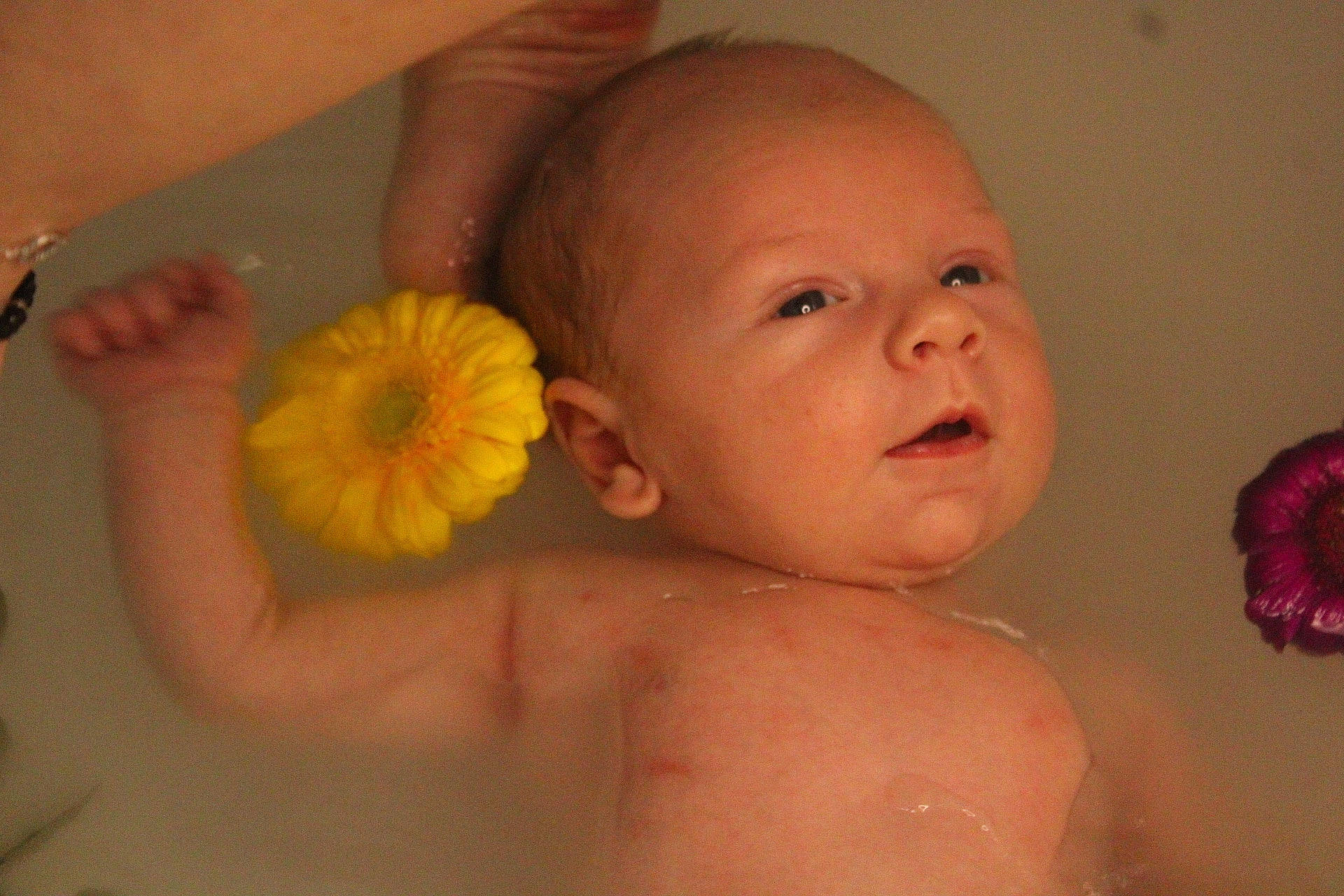 Mylan a rejoint le concours — aidez-le/la à gagner de superbes lots ! baby, baby_bathing, cheek, chin, ear, eye, eyebrow, eyelash, finger, flower, hair, hand, head, iris, lip, mouth, nail, neck, nose, person