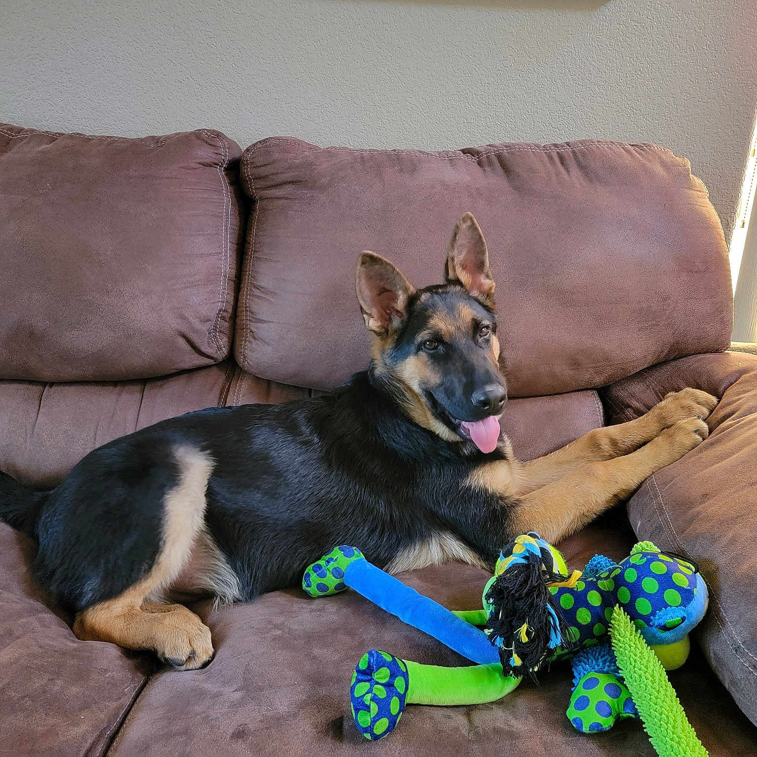 Ranger