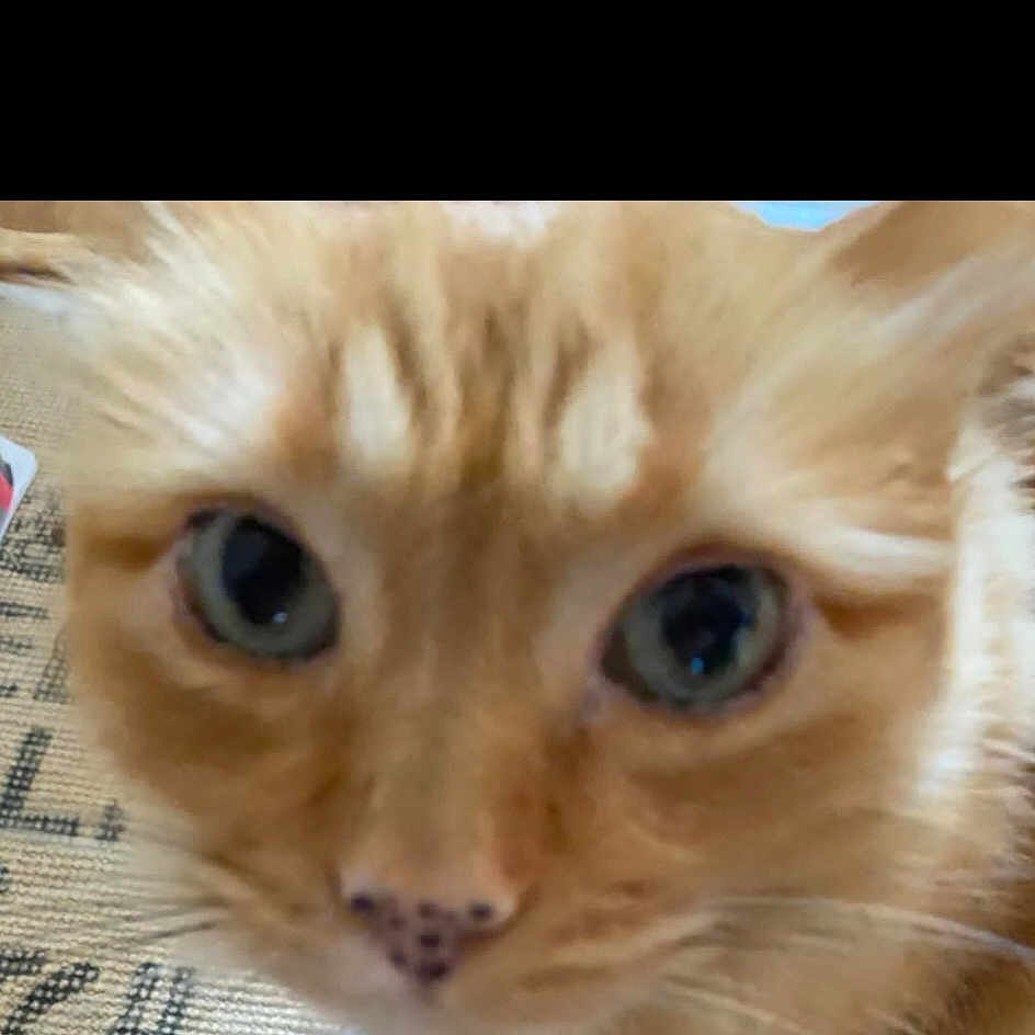 Charlie