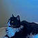 Pantha