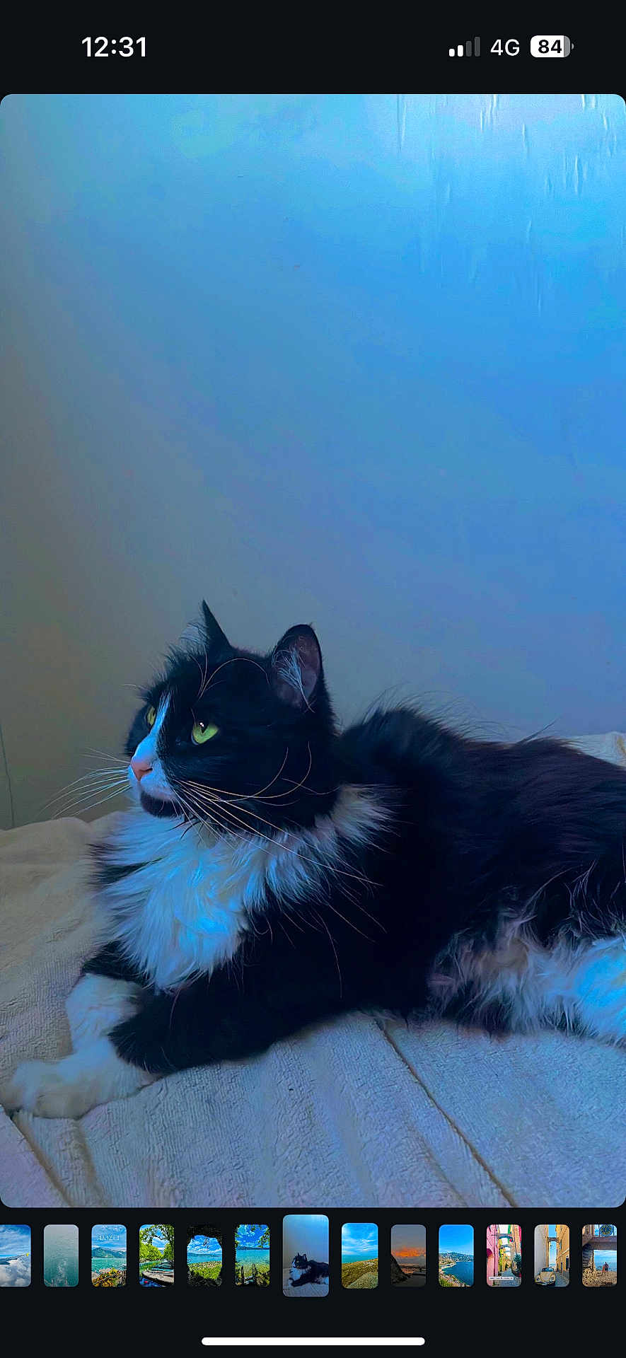 Pantha