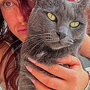 Smart participe au concours pour gagner de l'argent avec cette photo : affection, bracelet, cat, close_up, companionship, curiosity, expression, face, feline, grey_cat, hand, indoor, nail_polish, person, pet, portrait, red_hair, skin, whiskers, yellow_eyes