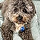Cooper