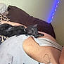 kitten, sleeping, person, tattoo, nose_ring, tank_top, couch, blanket, leopard_print, blue_lights, indoor, closeup, resting, pet, cute, cozy, skin, face_partial, animal, relaxation