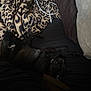 Midnight is registered to the contest to win money with this photo: cat, black_cat, bed, blanket, leopard_print, pillow, resting, sleeping, feline, domestic_animal, pet, cozy, indoor, animal, fur, relaxation, nap, dark_colors, comfort, cushion