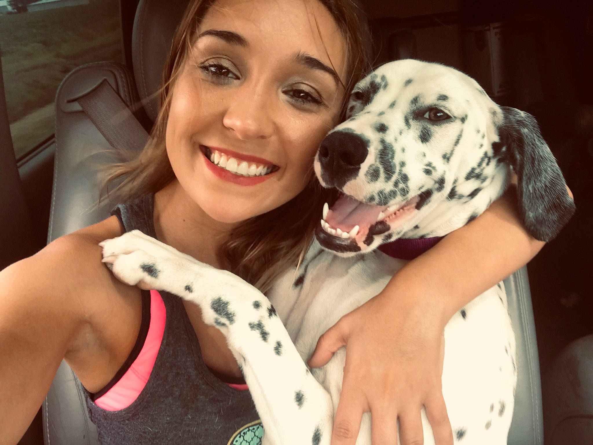 Molly joined the competition — help win amazing prizes! canidae, carnivore, dalmatian, dog, dog_breed, great_dane, mammal, non_sporting_group, puppy_love