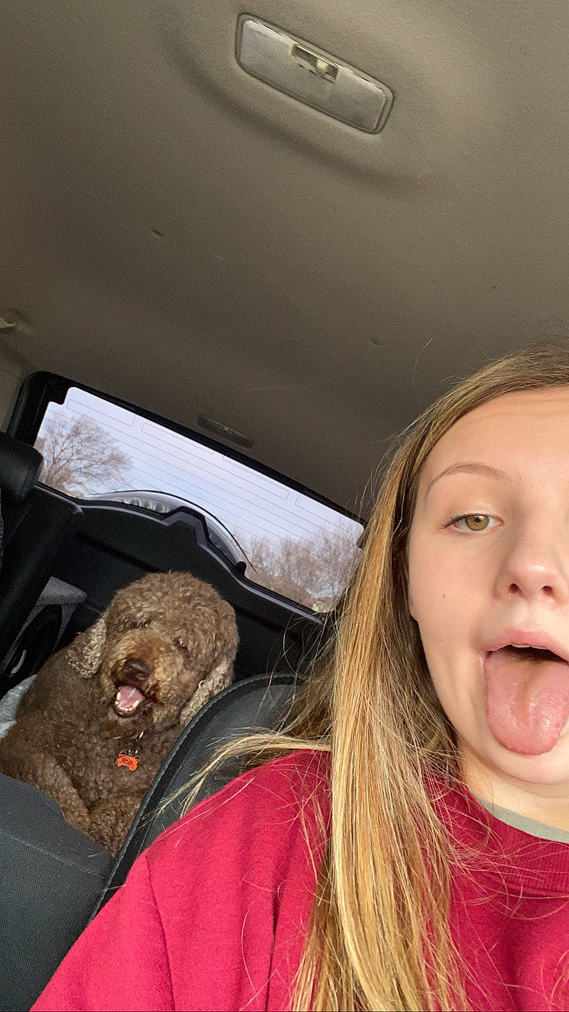 Boston is registered to the contest to win money with this photo: car_seat, child, face, facial_expression, fun, head, jaw, mouth, neck, nose, organ, photography, selfie, smile, tongue, tooth