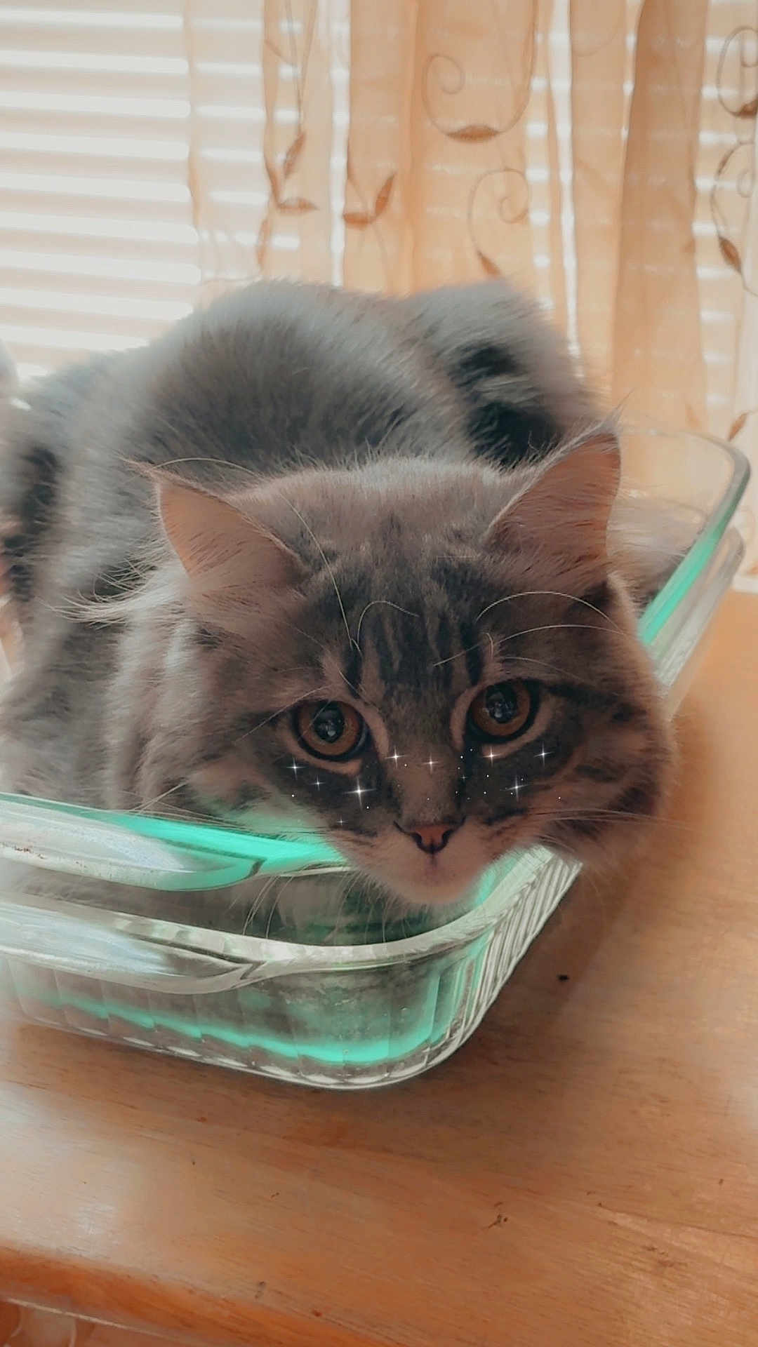 Rocky