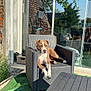 dog, outdoor, armchair, woven_furniture, sunlight, reflection, glass_door, brick_wall, greenery, table, shoe, relaxed, pet, daylight, shadow, patio, casual, resting, nature, summer