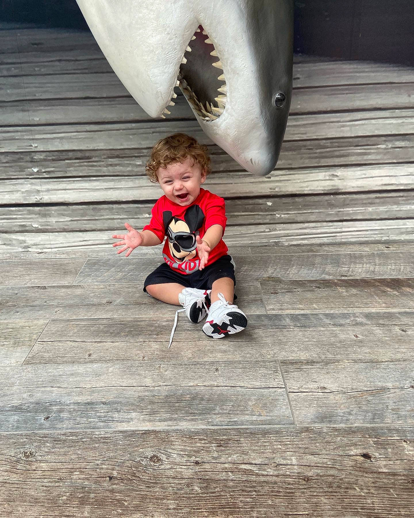 Logan is registered to the contest to win money with this photo: baby_toddler_clothing, carmine, child, concrete, flash_photography, floor, flooring, fun, happy, hardwood, leisure, person, recreation, sitting, smile, standing, t_shirt, tints_and_shades, toddler, tree