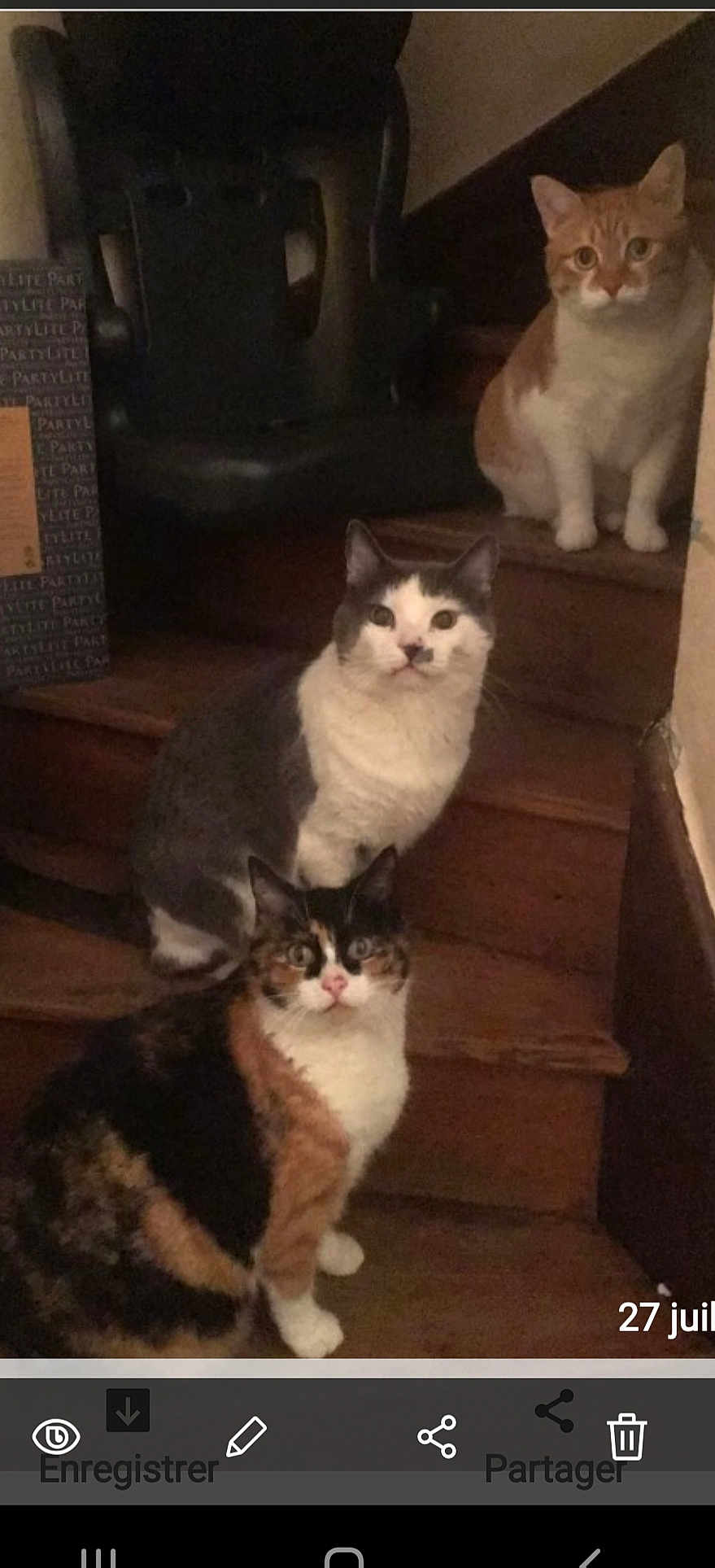 Grisou Mignonne Chouquette