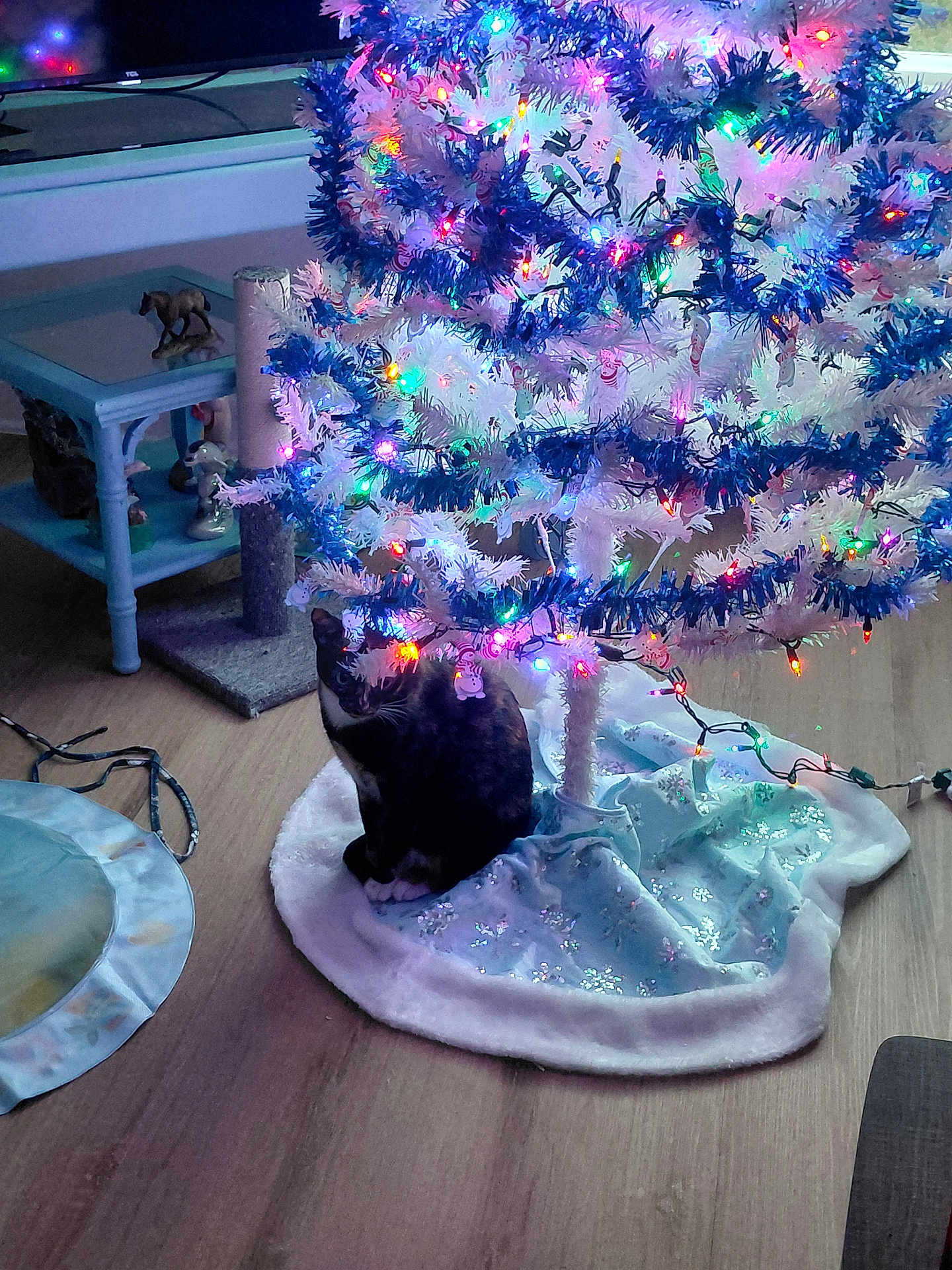 Babe Grl is registered to the contest to win money with this photo: cat, christmas_tree, lights, indoor, floor, decoration, table, figurine, curious, holiday, festive, pet, animal, tree_skirt, colorful_lights, wooden_floor, ornament, home, cozy, night