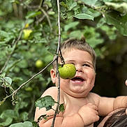 Sonny participe au concours pour gagner de l'argent avec cette photo : toddler, child, smiling, apple, fruit, tree, branch, green, nature, outdoor, happy, skin, face, person, holding, leaf, plant, baby, cute, summer