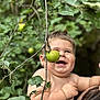 toddler, child, smiling, apple, fruit, tree, branch, green, nature, outdoor, happy, skin, face, person, holding, leaf, plant, baby, cute, summer