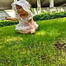 baby, child, toddler, sitting, grass, outdoor, garden, bonnet, dress, pink, frills, face, portrait, looking_sideways, sunlight, greenery, tree, building, lawn, exploring