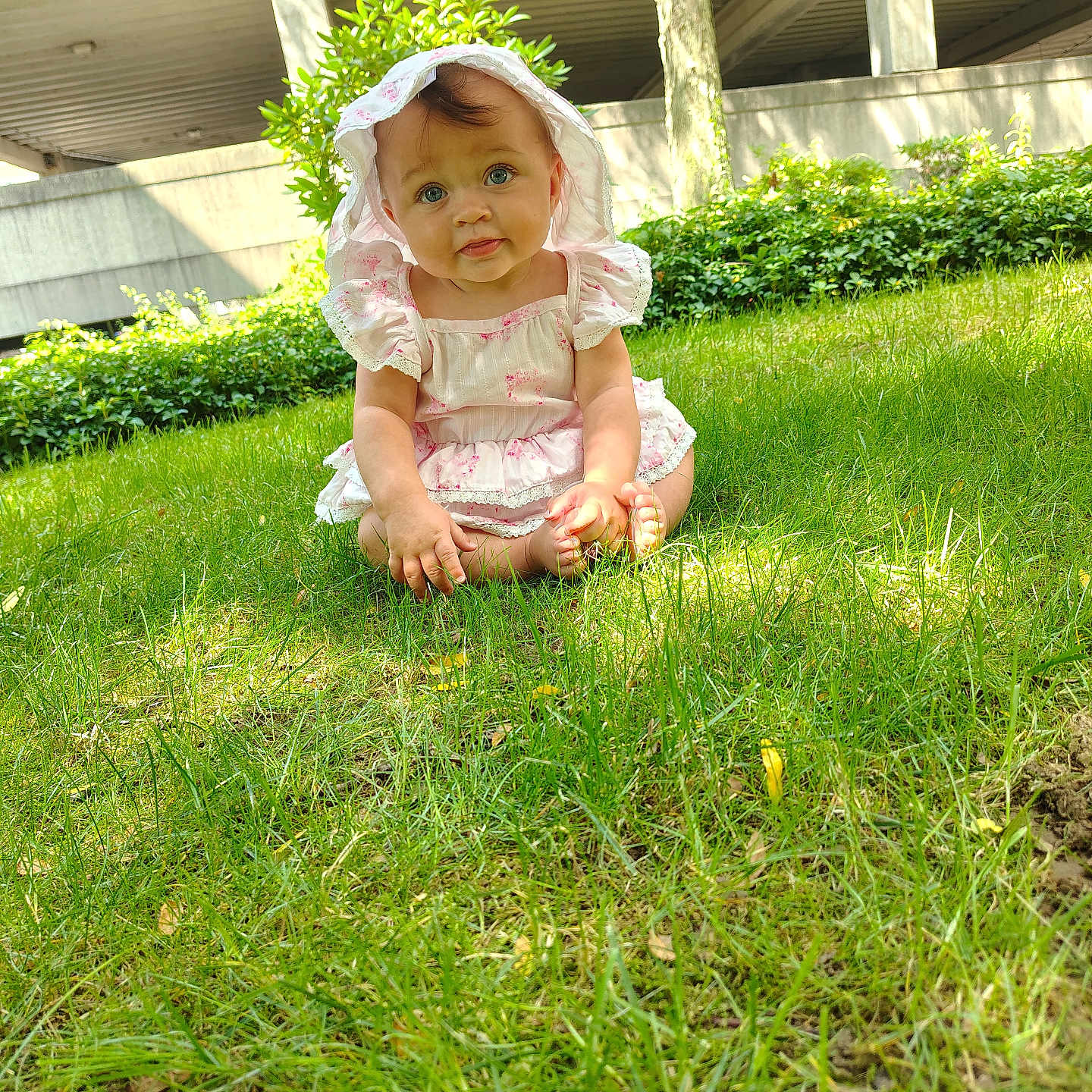 Clairissa joined the competition — help win amazing prizes! baby, child, toddler, portrait, sitting, grass, outdoor, garden, sunlight, bonnet, dress, pink_clothing, frills, facial_expression, blue_eyes, greenery, shrubbery, building, summer, photography