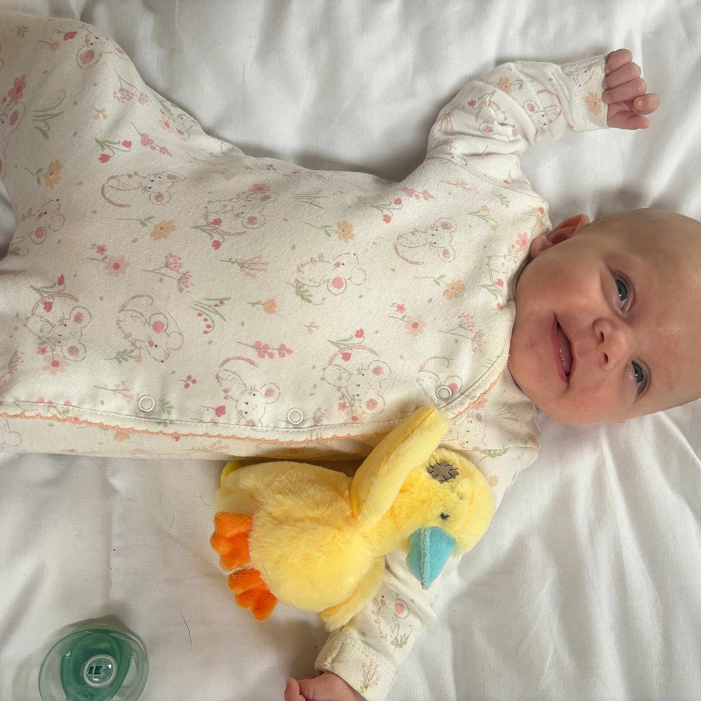 Maisie Jade joined the competition — help win amazing prizes! applique, baby, bed, blanket, bodypart, crib, cushion, face, finger, furniture, hand, head, homedecor, infantbed, newborn, pattern, person, photography, portrait, toy
