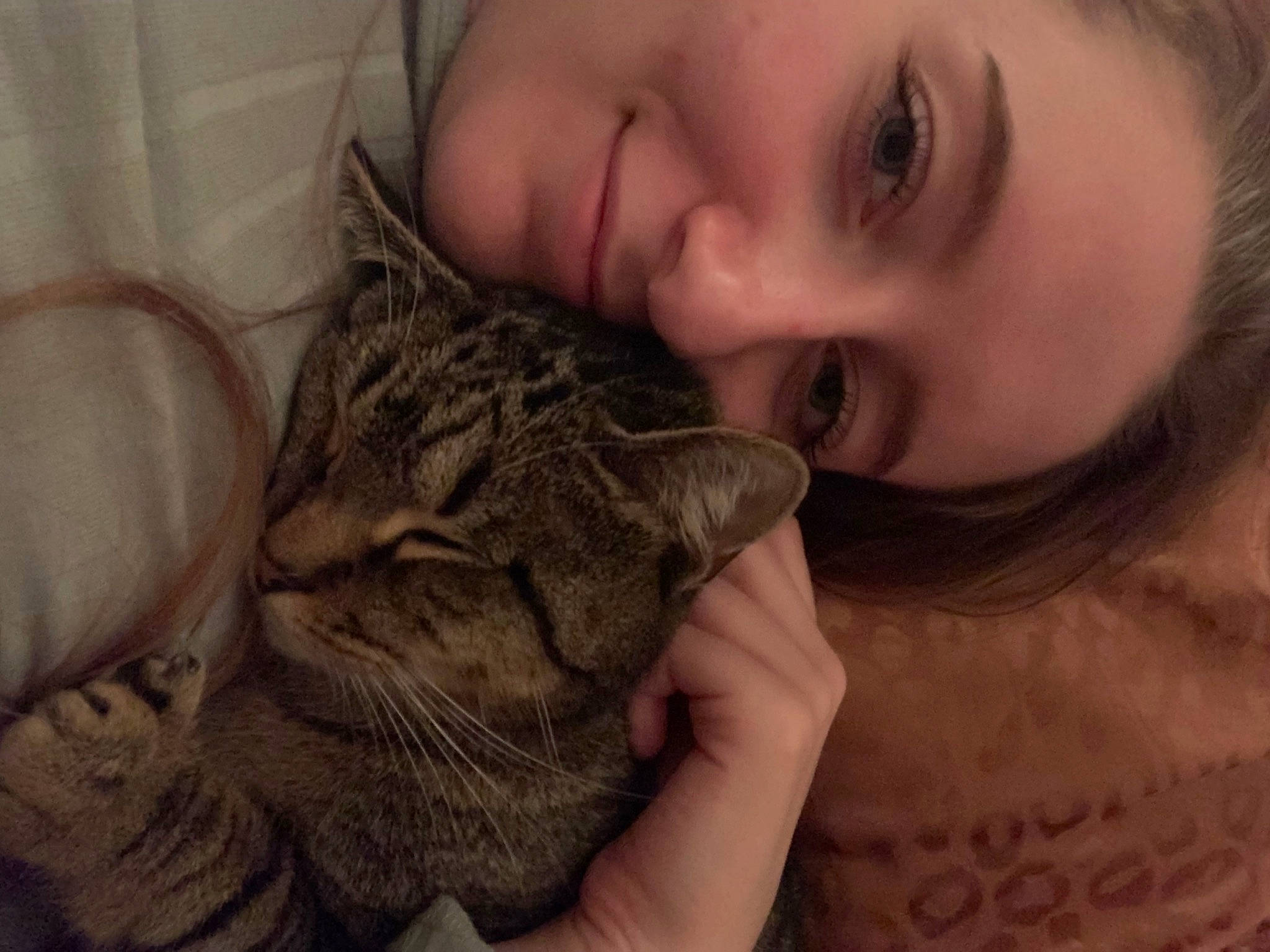 Chunky joined the competition — help win amazing prizes! beard, carnivore, cat, cheek, comfort, ear, eye, eyebrow, eyelash, felidae, gesture, happy, jaw, nose, organ, skin, small_to_medium_sized_cats, smile, vertebrate, whiskers