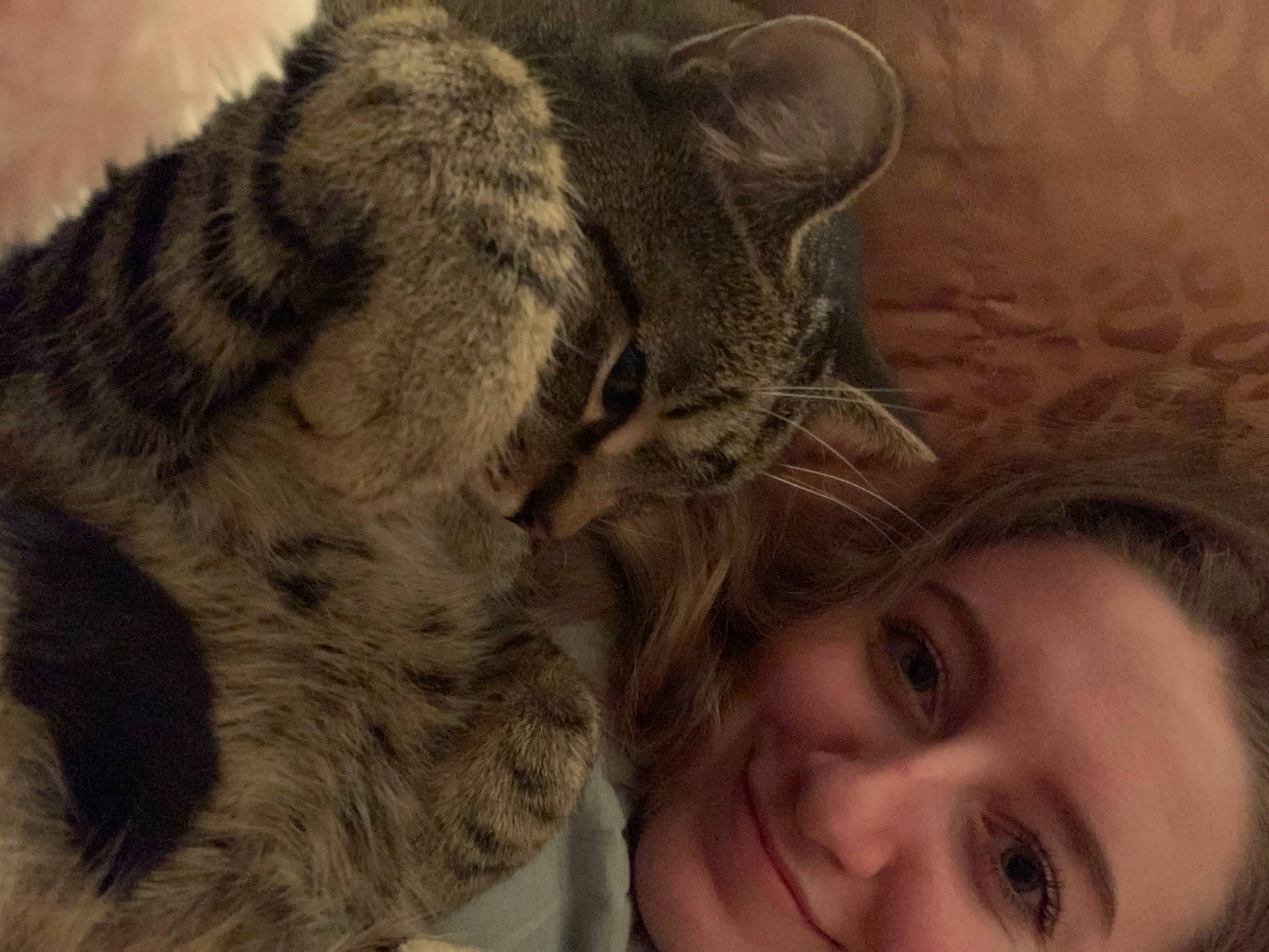 Chunky is registered to the contest to win money with this photo: carnivore, cat, close_up, comfort, ear, eye, fawn, felidae, gesture, happy, interaction, mammal, nose, selfie, skin, small_to_medium_sized_cats, smile, snout, tree, whiskers