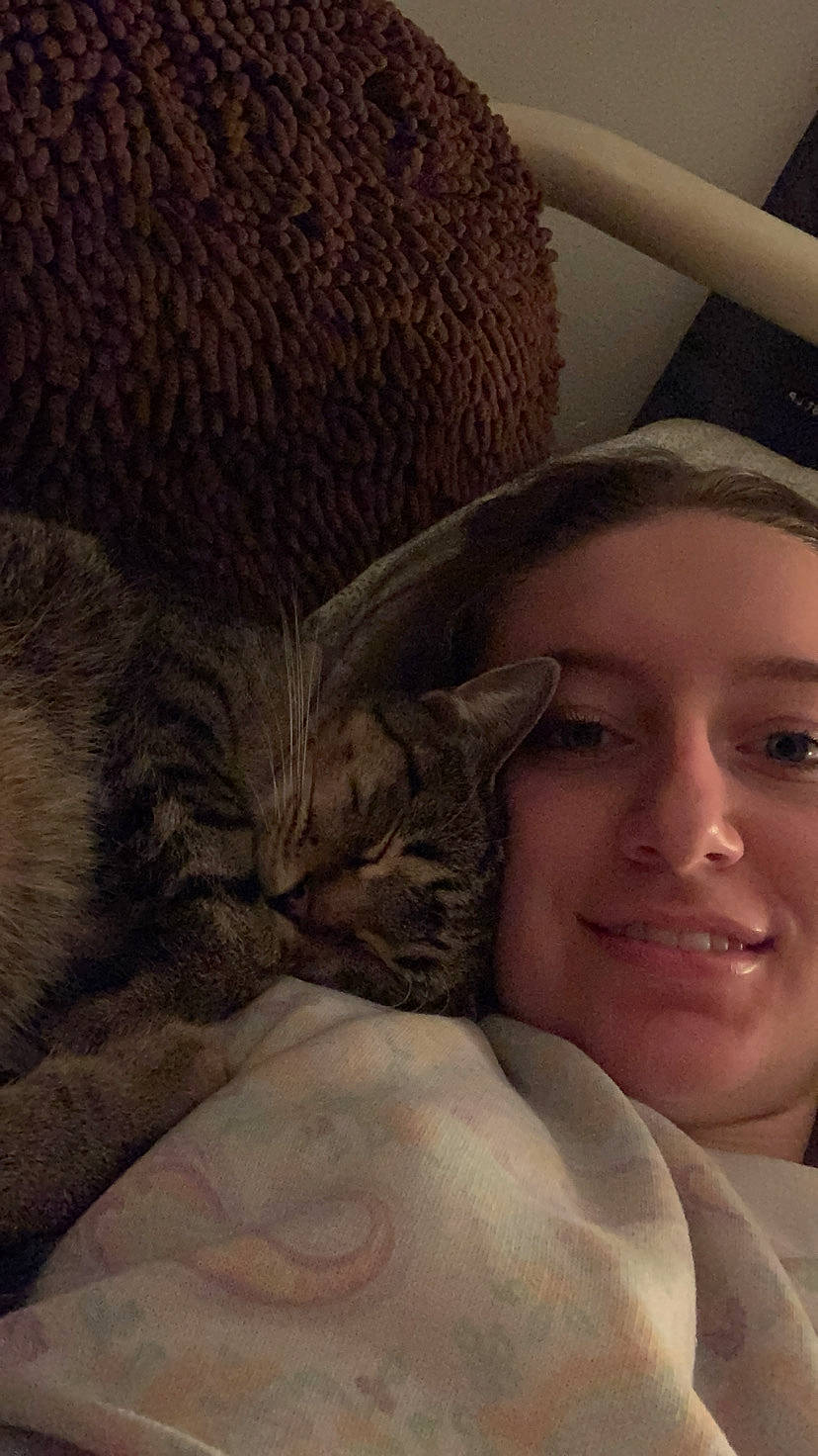 Chunky joined the competition — help win amazing prizes! bed, carnivore, cat, comfort, ear, eye, fawn, felidae, gesture, happy, jaw, linens, nose, selfie, skin, small_to_medium_sized_cats, smile, snout, textile, whiskers