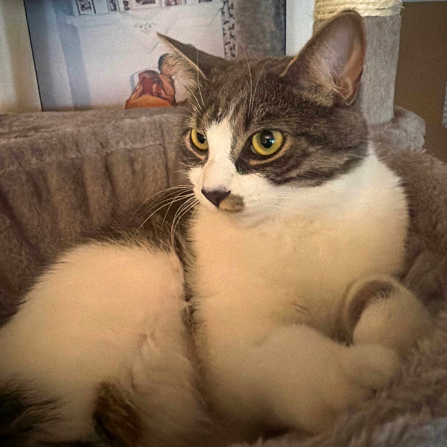 Luna