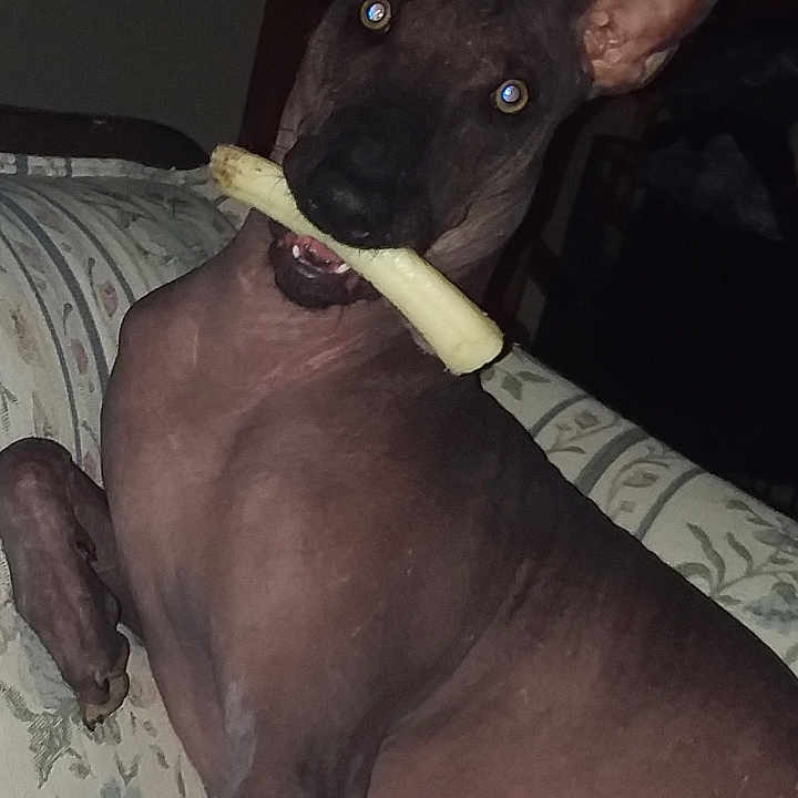 Rexx