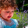 child, toddler, curly_hair, blue_dress, flowers, purple_flowers, outdoor, garden, nature, sunlight, portrait, smiling, happy, cute, face, person, summer, greenery, young_child, holding
