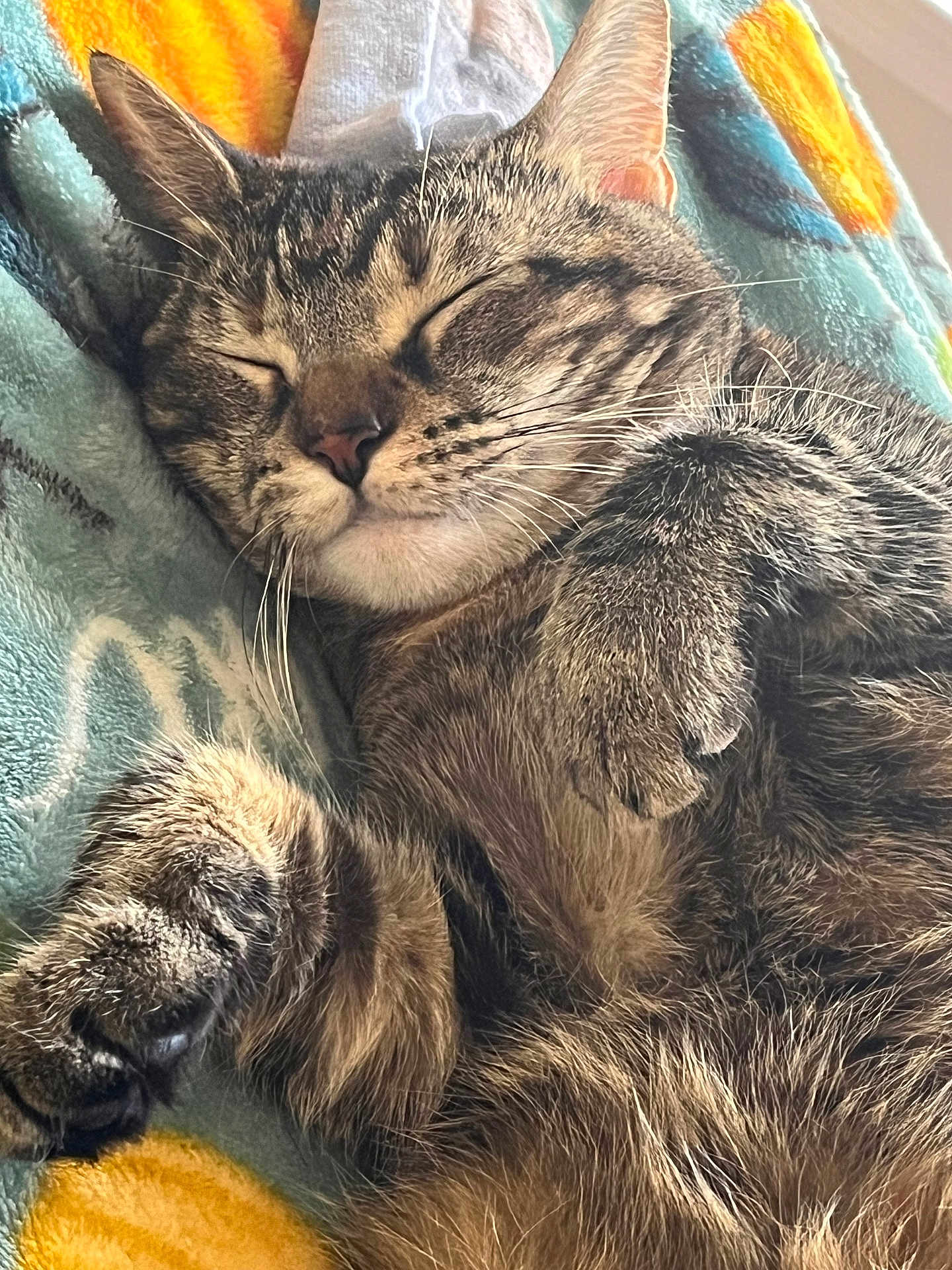 Millie