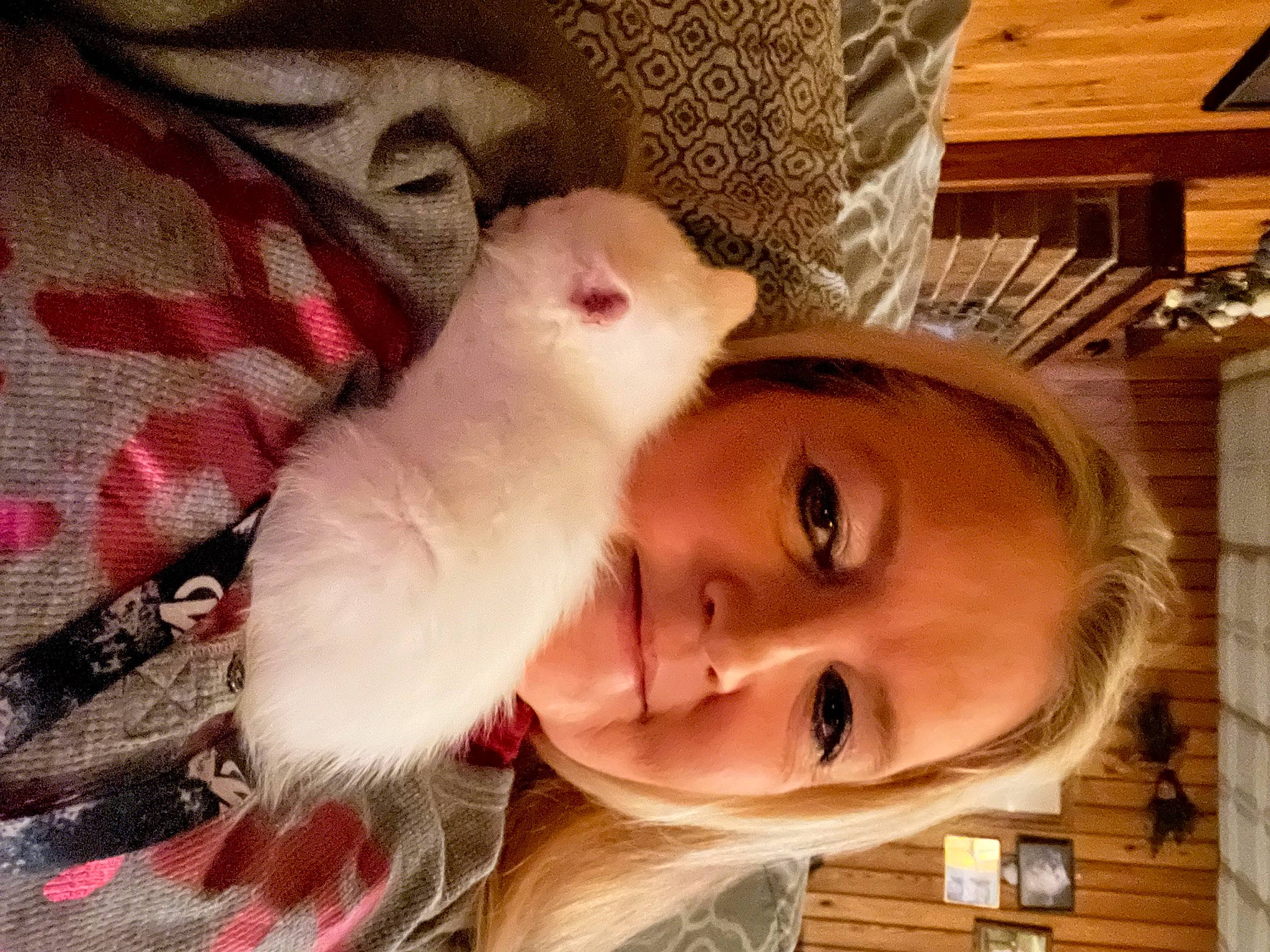 Jolene is registered to the contest to win money with this photo: carnivore, cat, companion_dog, eyebrow, eyelash, fawn, felidae, gesture, happy, head, iris, jaw, lip, mouth, nose, selfie, skin, small_to_medium_sized_cats, smile, whiskers