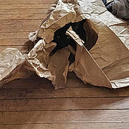 Midnight Joseph Tory joined the competition — help win amazing prizes! cat, black_cat, paper_bag, wooden_floor, indoor, pet, animal, hiding, peeking, crumpled_paper, flooring, playful, cute, domestic_cat, eyes, shadow, texture, household, cozy, curious