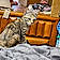 Nala Christine Tory