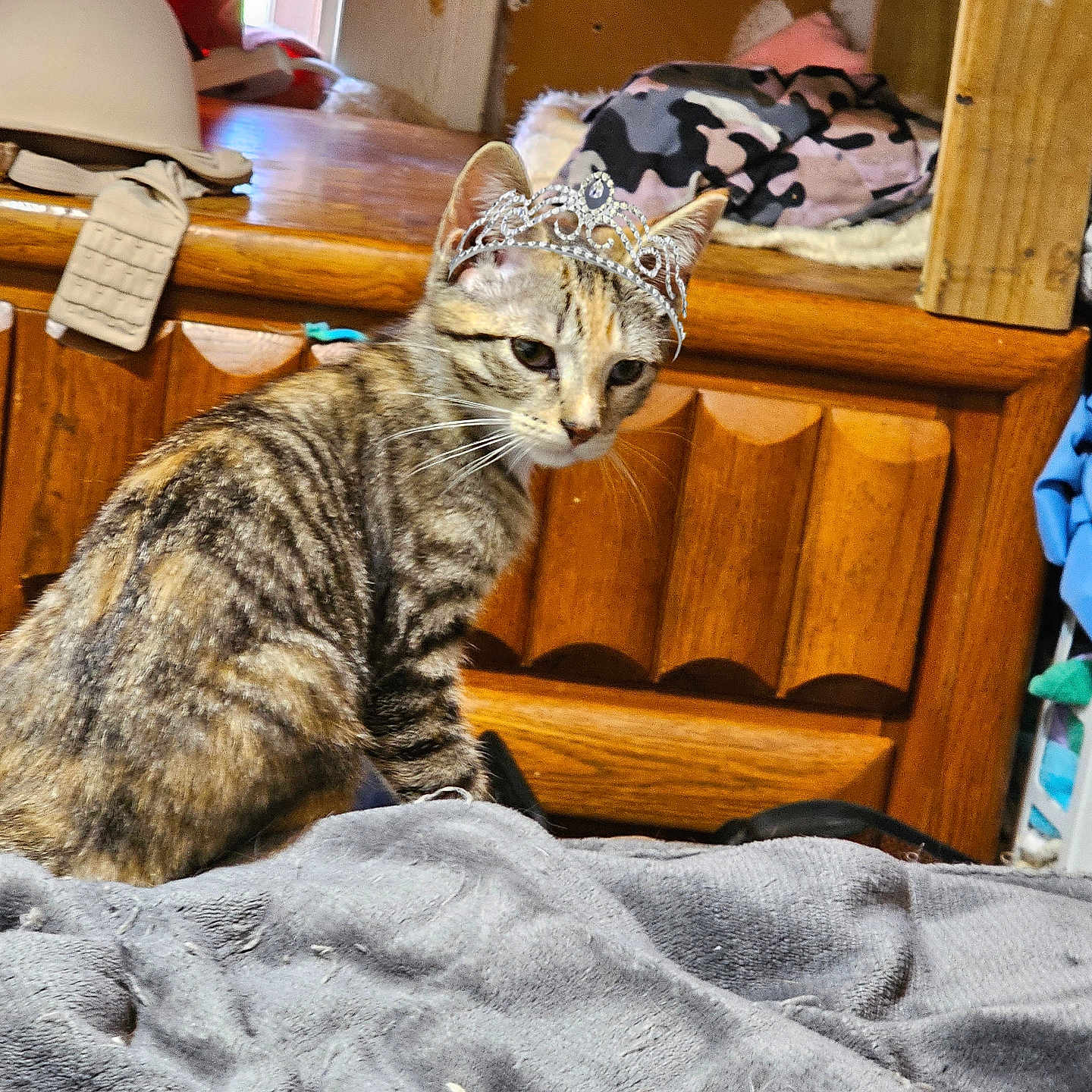 Nala Christine Tory