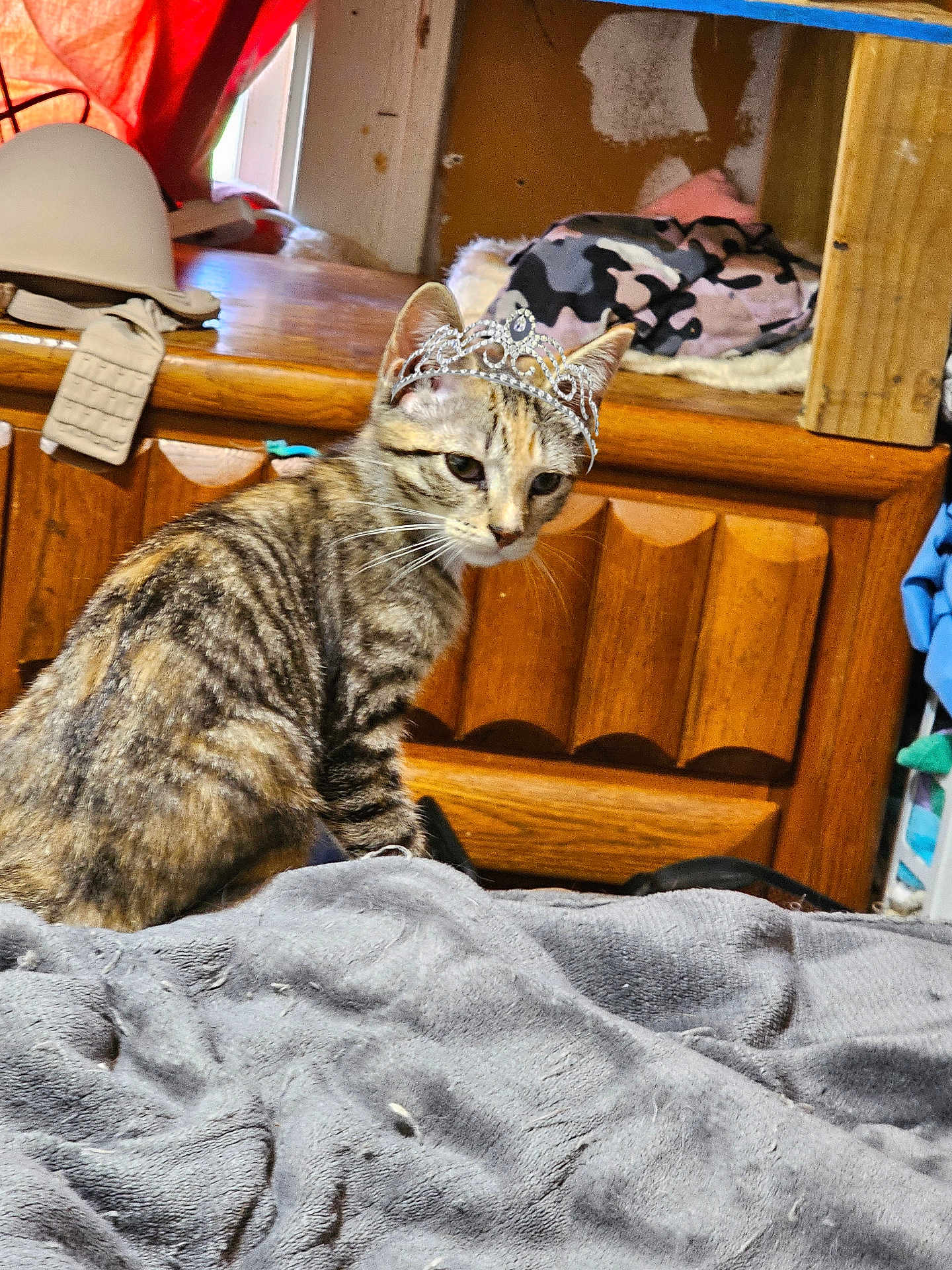 Nala Christine Tory