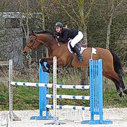 Usus de l'Abrioux participe au concours pour gagner de l'argent avec cette photo : animal_sports, bridle, cross_country_equestrianism, english_riding, equestrian, equestrianism, equitation, eventing, hobby, horse, horse_like_mammal, horse_tack, hunt_seat, jumping, mare, outdoor_recreation, rein, show_jumping, stallion
