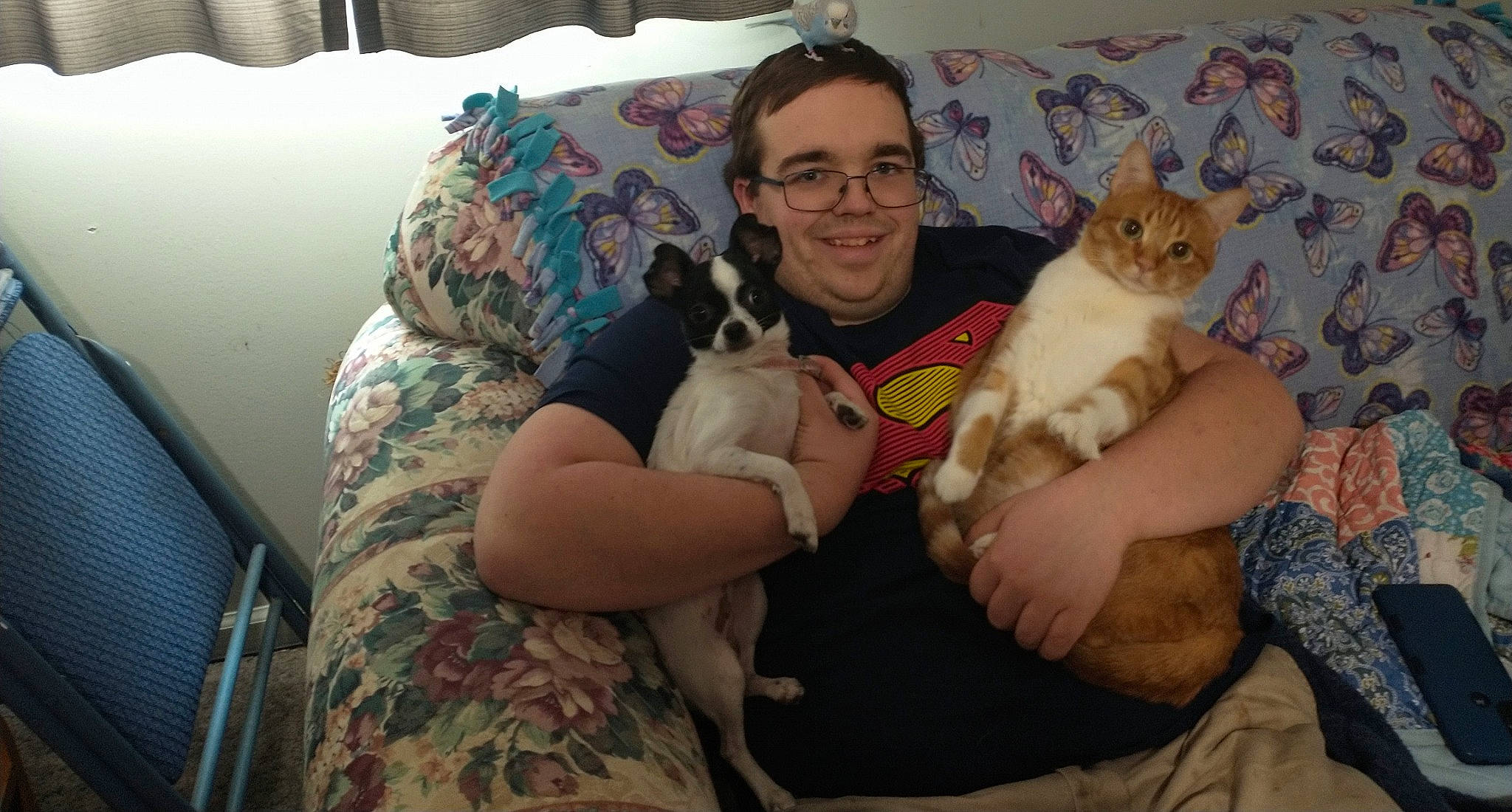 Azrael is registered to the contest to win money with this photo: arm, carnivore, cat, comfort, companion_dog, couch, dog_breed, ear, fawn, felidae, fun, fur, lap, mammal, room, sitting, small_to_medium_sized_cats, smile, thigh, whiskers