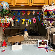 Mochi is registered to the contest to win money with this photo: balloons, banner, birthday, box, cake, cat, celebration, counter, decorations, festive, food, indoor, kitchen, lamp, mirror, party, party_hat, pet, sofa, table
