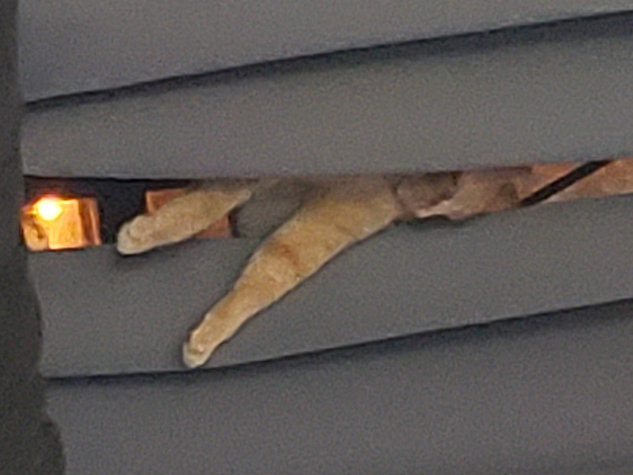 Bobbie joined the competition — help win amazing prizes! art, artifact, balance, hardwood, human_leg, metal, rectangle, room, tints_and_shades, tree, twig, visual_arts, wood