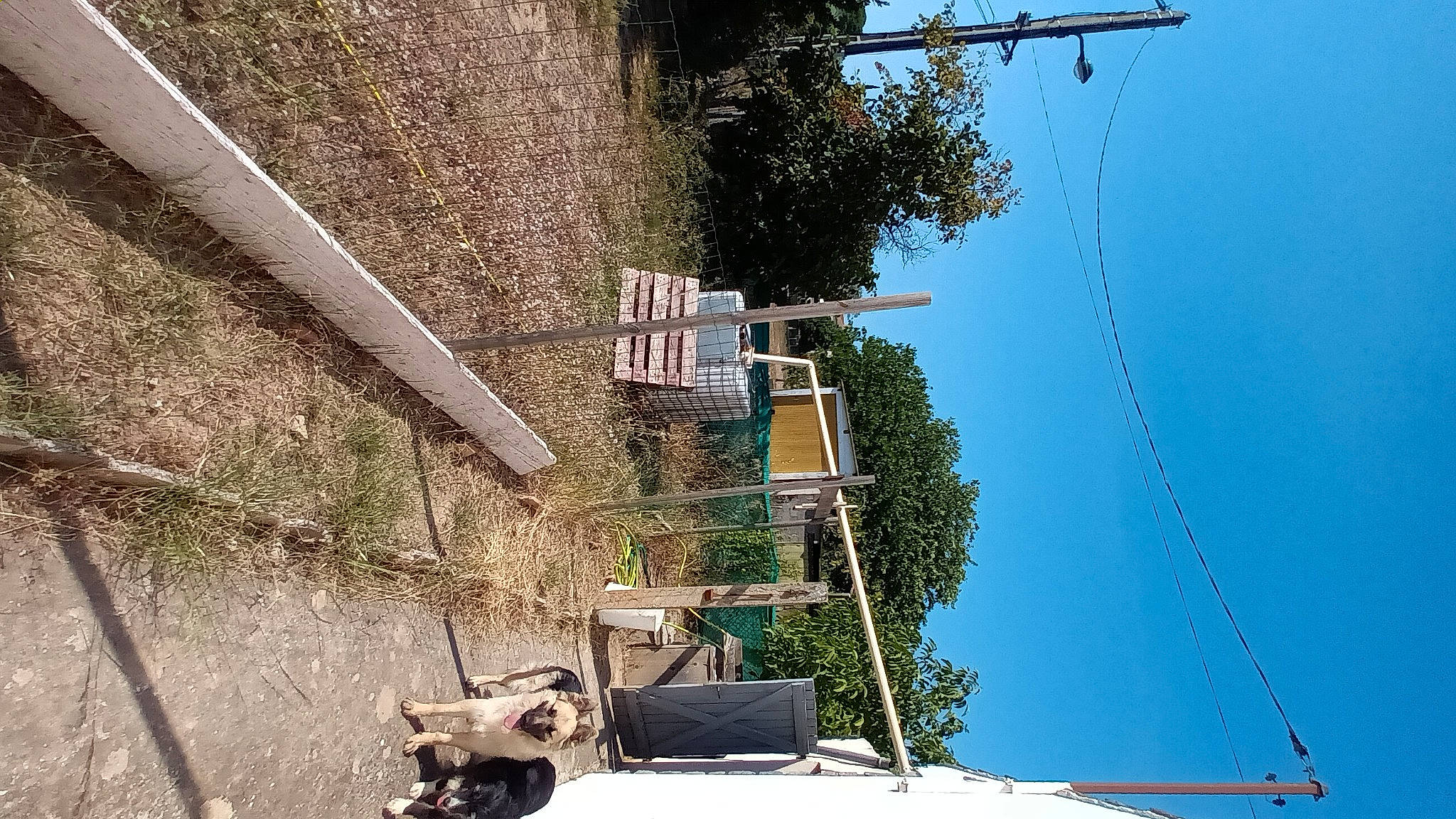 Jaika a rejoint le concours — aidez-le/la à gagner de superbes lots ! building, composite_material, daytime, electric_blue, electrical_supply, electricity, facade, line, overhead_power_line, plant, pole, public_utility, road, sky, slope, street_light, tree, urban_design, wall, wire