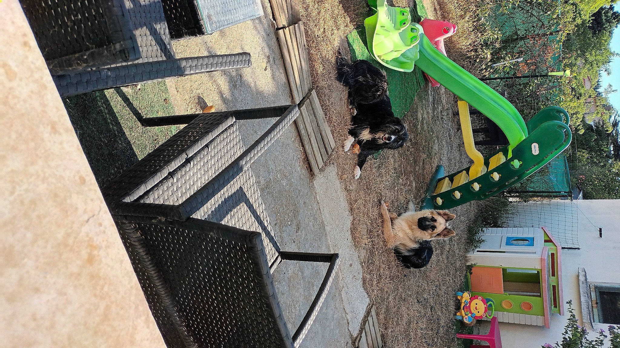 Rex participe au concours pour gagner de l'argent avec cette photo : adventure, asphalt, automotive_exterior, automotive_tire, automotive_wheel_system, city, concrete, facade, flooring, leisure, pattern, pedestrian, recreation, road, road_surface, shadow, sidewalk, street, urban_design, walking_shoe