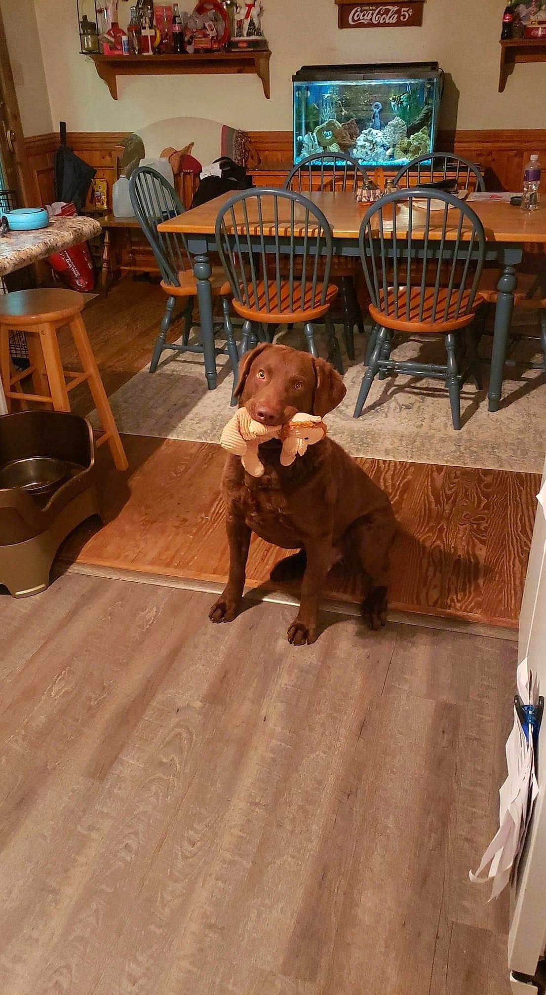 Leo